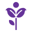 plant 1